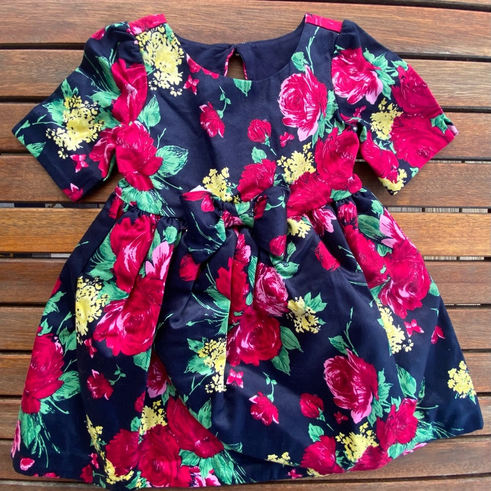Janie and Jack girls dress 12-18 mos NWT